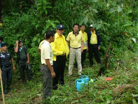 ข่าวพังงา : พังงา เข้มปราบปรามผู้ทำผิดเกี่ยวกับทรัพยากรธรรมชาติ