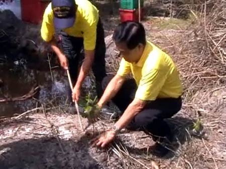 ข่าวสตูล : สตูลปลูกป่าชายเลน 30 ไร่ เฉลิมพระเกียรติในหลวง