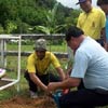 ภาพประกอบ ข่าวระนอง : ระนอง ปลูกป่าเฉลิมพระเกียรติราชินี